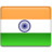 India Flag Icon